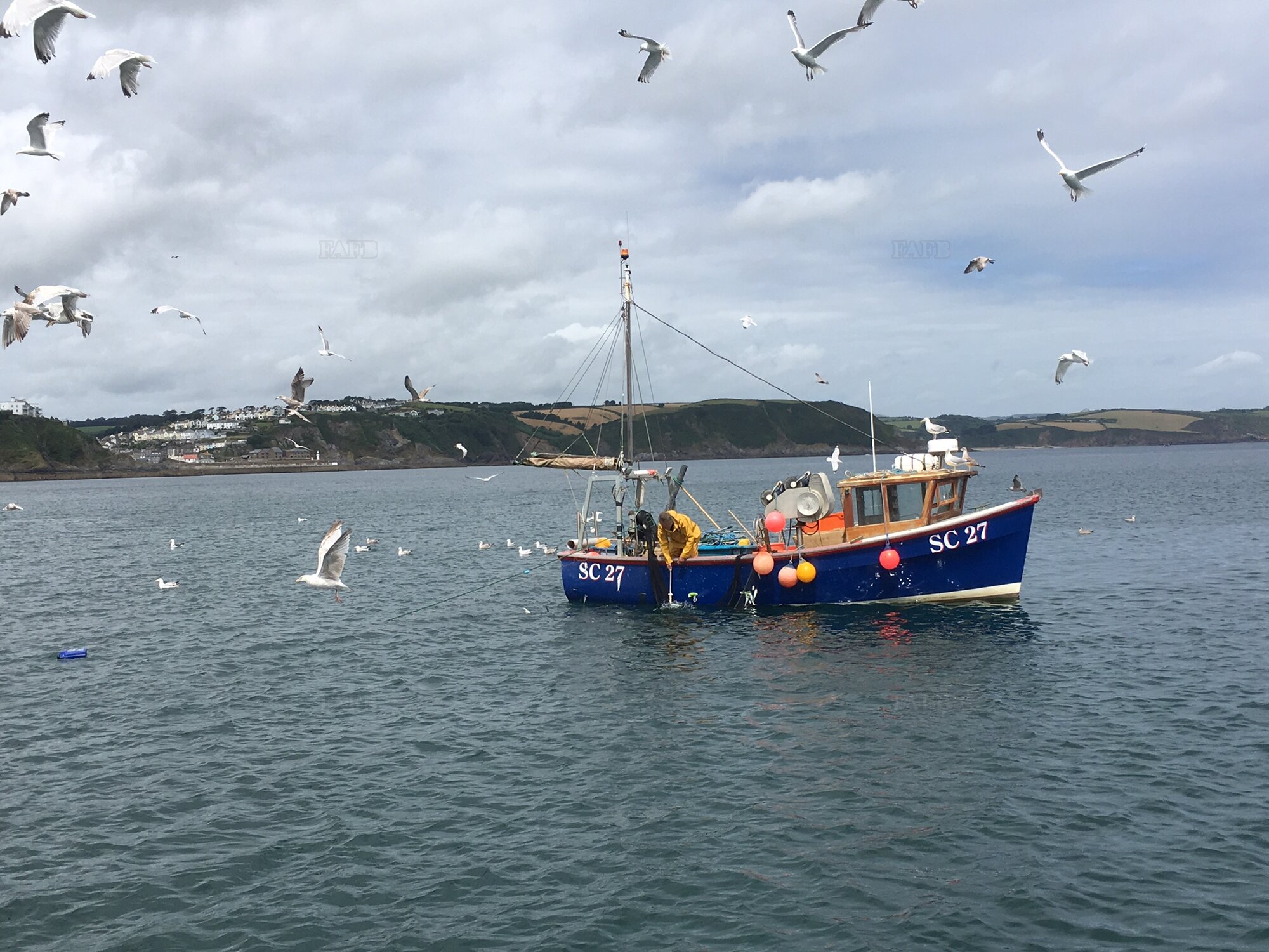 Large picture for advert 120685