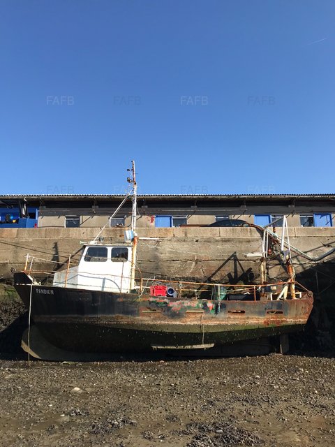 Large picture for advert 98535