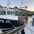 Extra picture for advert 131535
